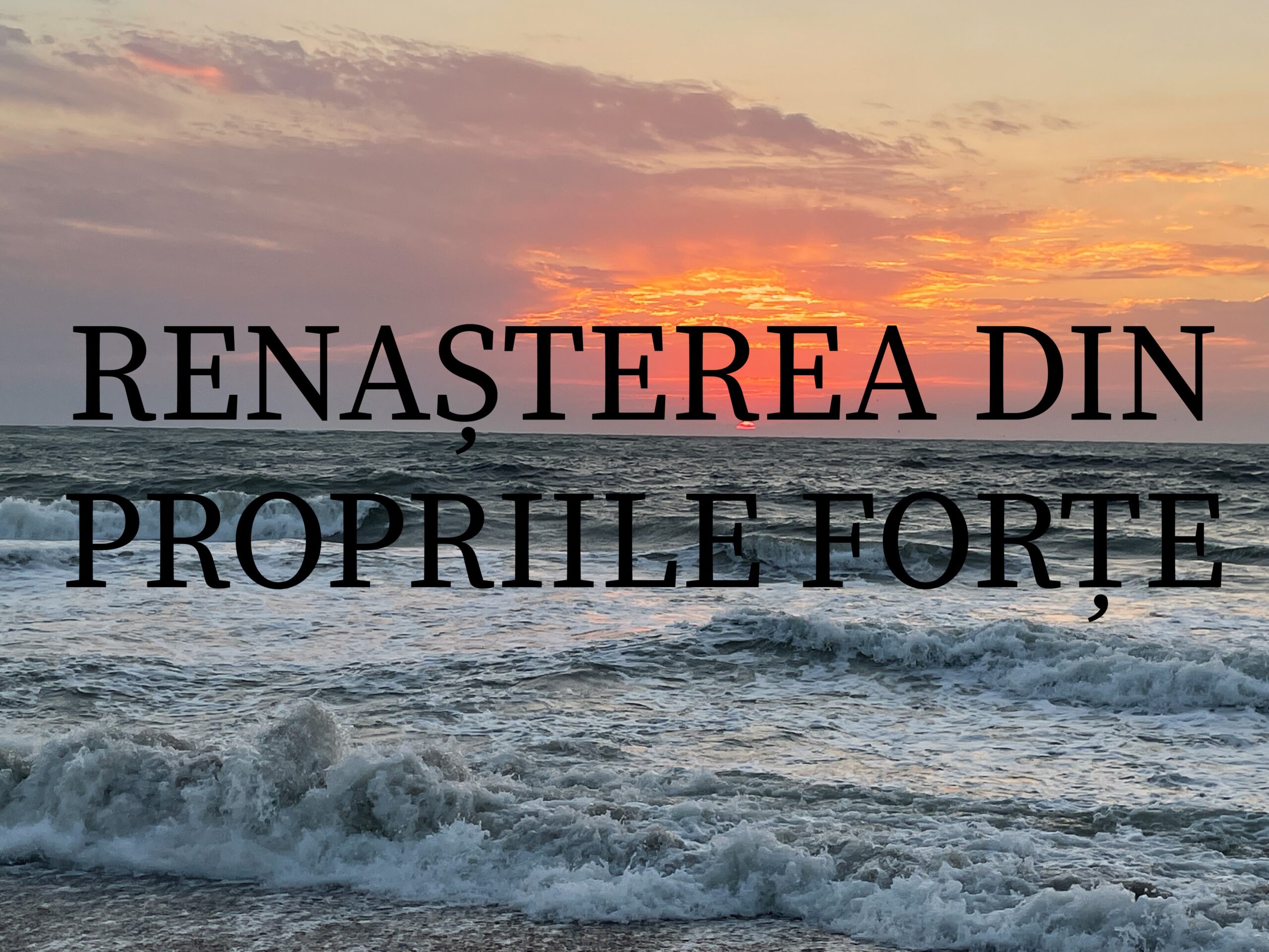 VERTICALI PENTRU ROMÂNIA: REGĂSIRI