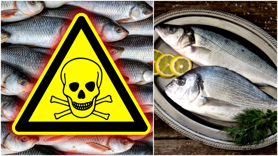 Atenționare InfoCons : La ce trebuie să fim atenți când achiziționăm pește și produse din pește ?​