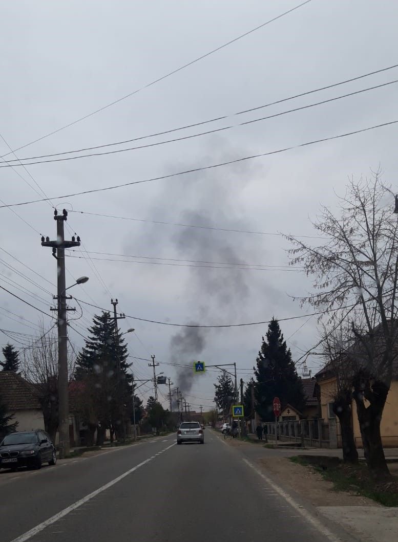 Amendă de 30.000 lei pentru un bărbat din Turulung