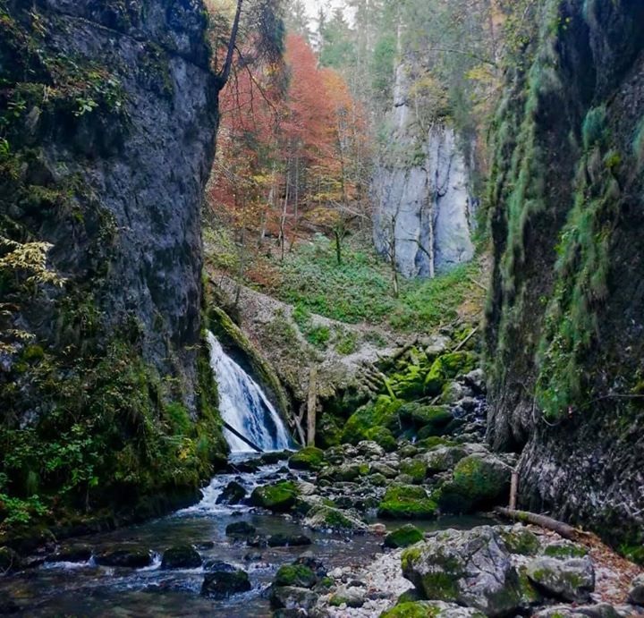 Destinații de week-end Cheile Galbenei – cel mai spectaculos punct de atracție din zona Padiș a Munților Bihor, locul în care natura sălbatică este în cea mai pură formă