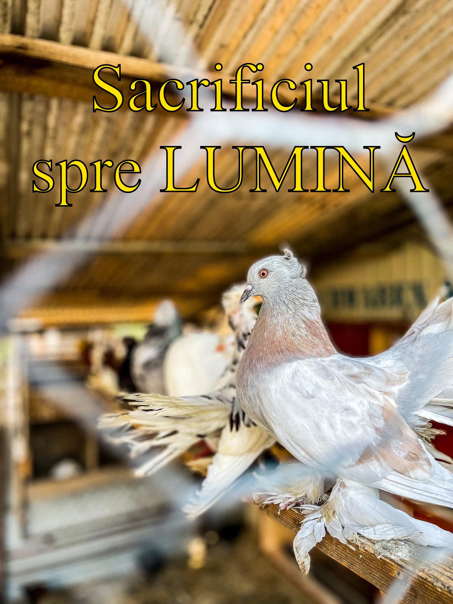 VERTICALI PENTRU ROMÂNIA: PAȘAPORT SPRE ÎNVIERE