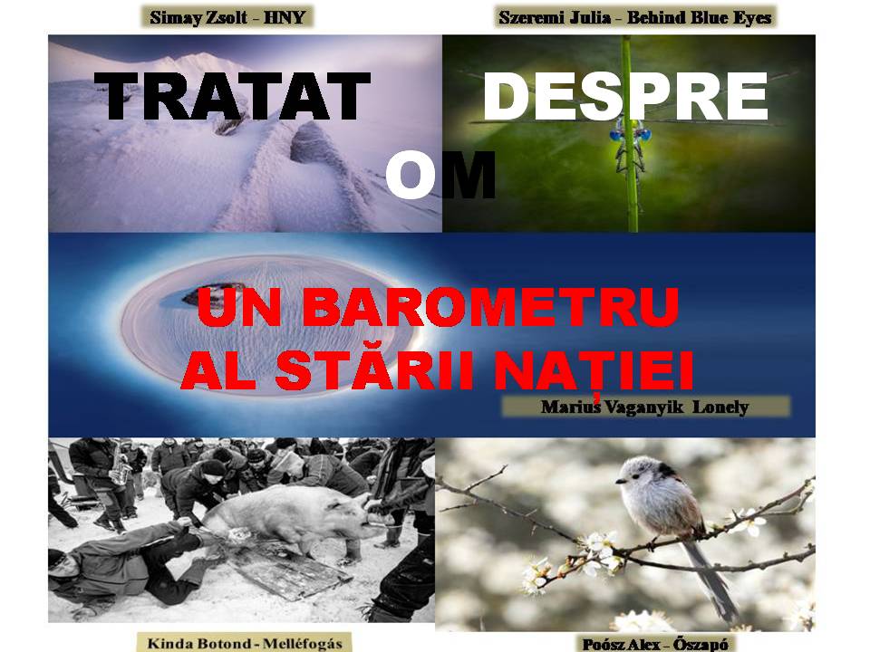 VERTICALI PENTRU ROMÂNIA: GLASUL CETĂȚII. PUNCTE DE VEDERE  II