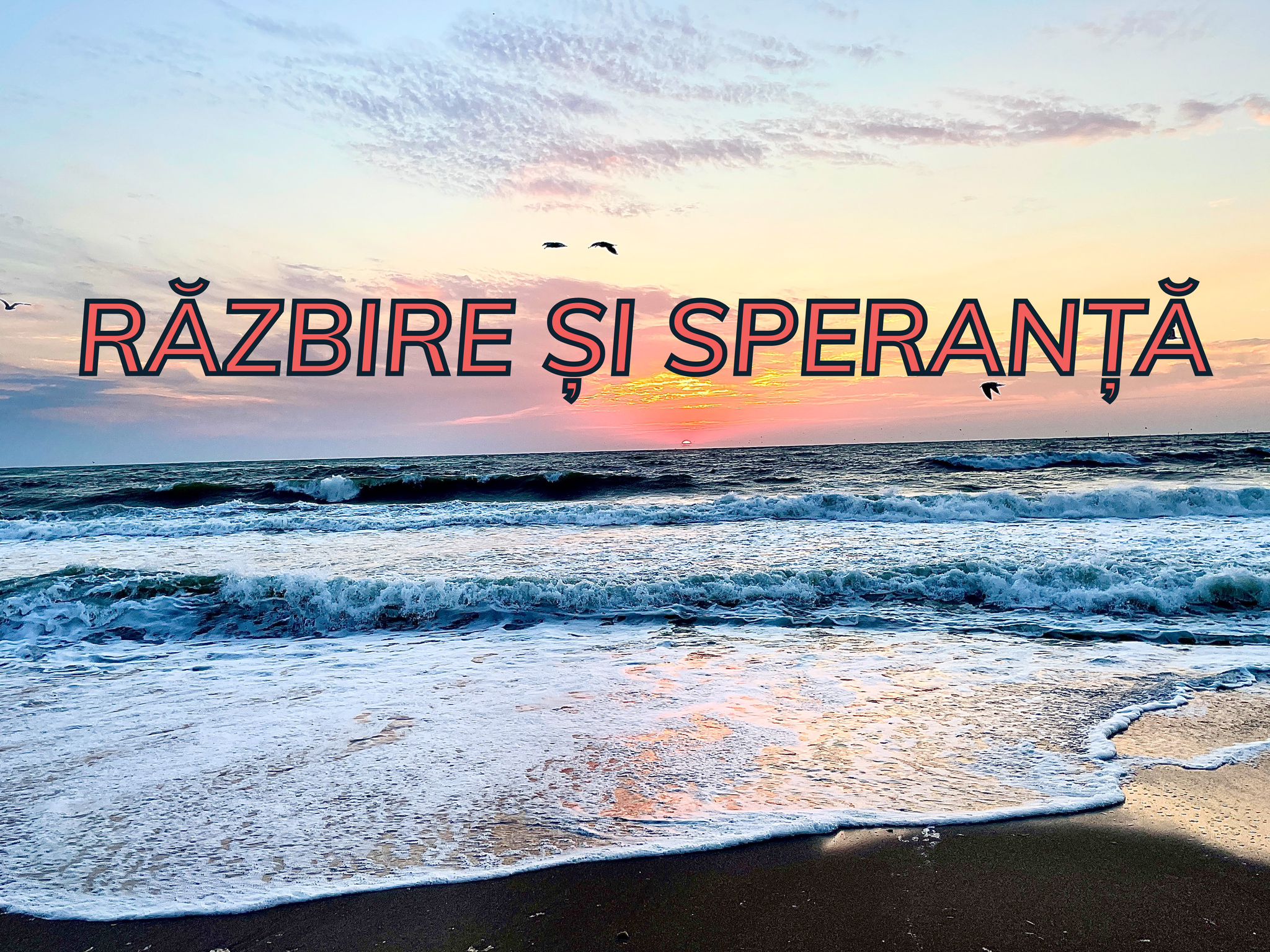 VERTICALI PENTRU ROMÂNIA: REGĂSIRI