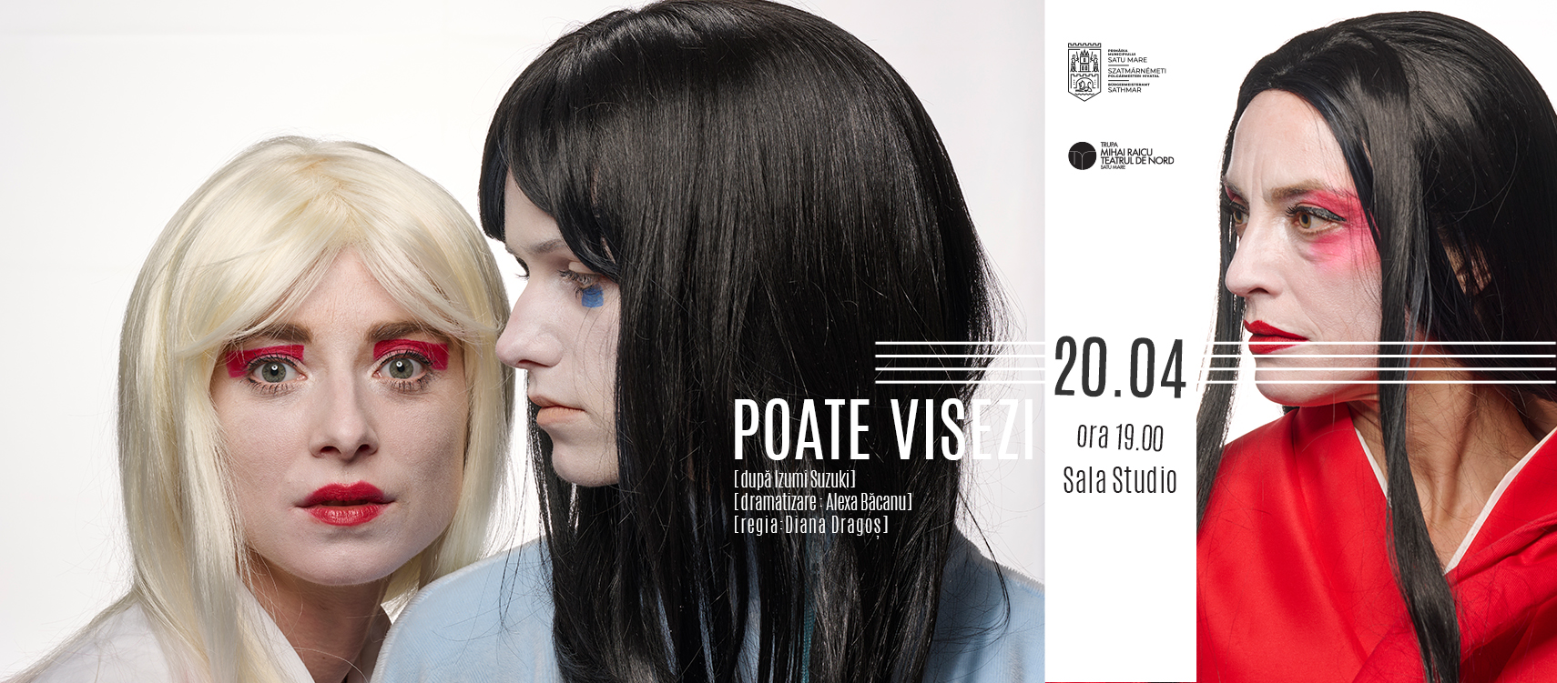 POATE VISEZI, premieră sâmbătă 20 aprilie la Sala Studio a Teatrului de Nord