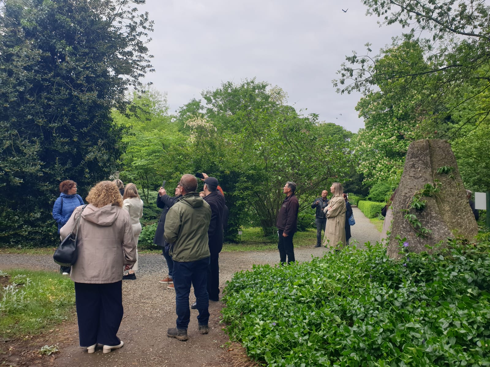 Zilele Fitoterapiei Moderne, la UVVG