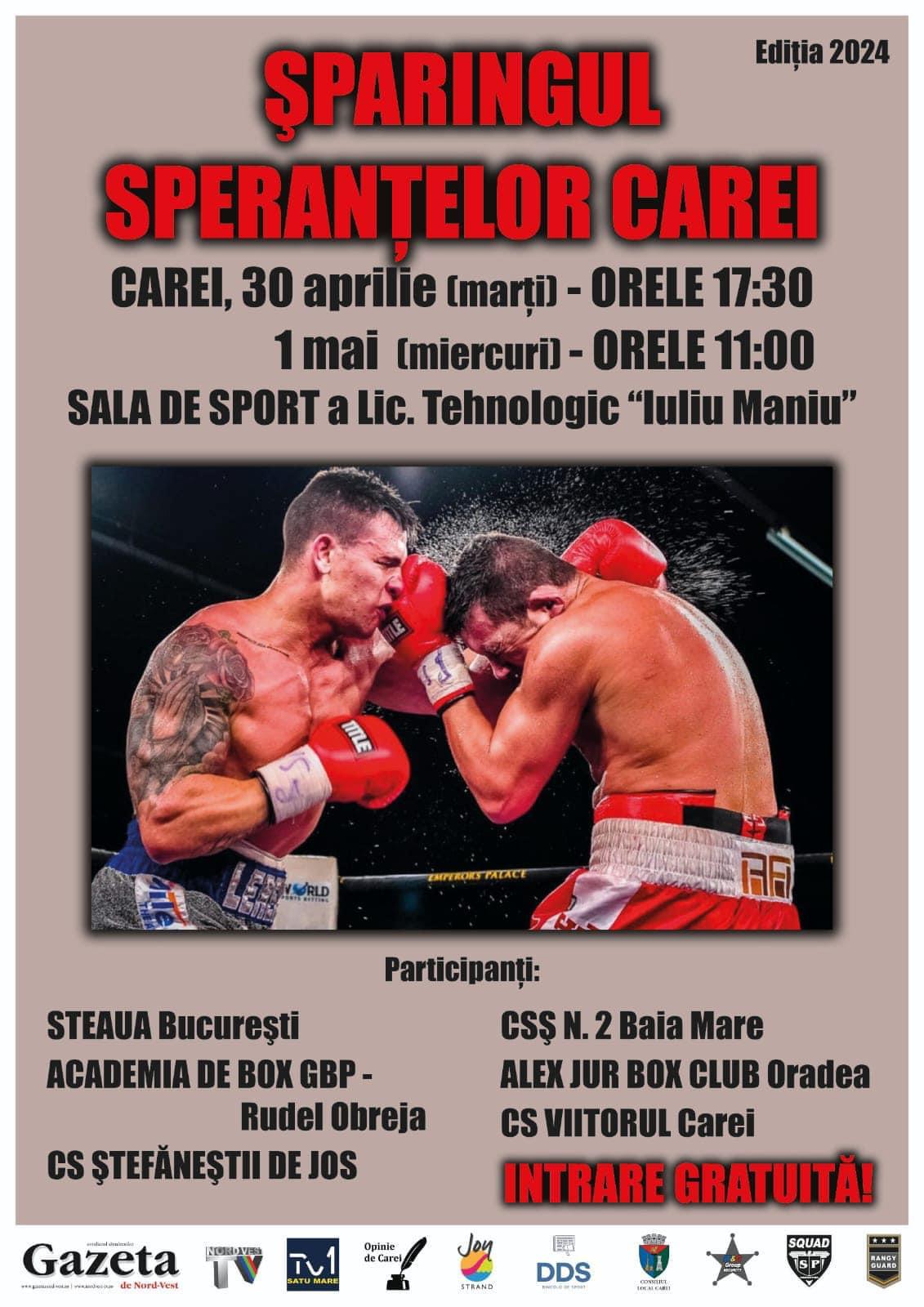 Gala de box cu intrare liberă, la Carei