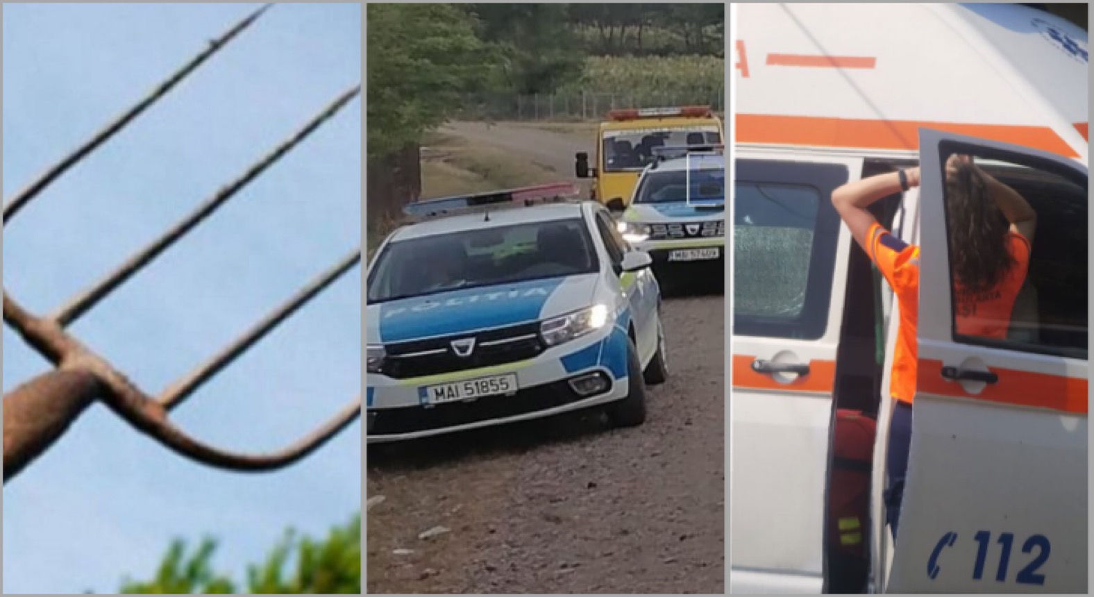 Atacat cu furca...ca în filmele horror