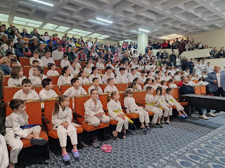 Arte Marțiale. Se cunosc campionii județeni la karate