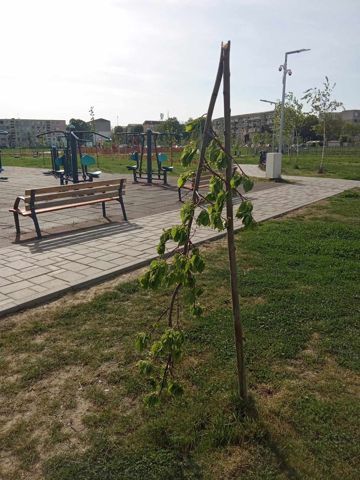 Huliganul din Pacul Cubic a fost prins. Are doar 13 ani