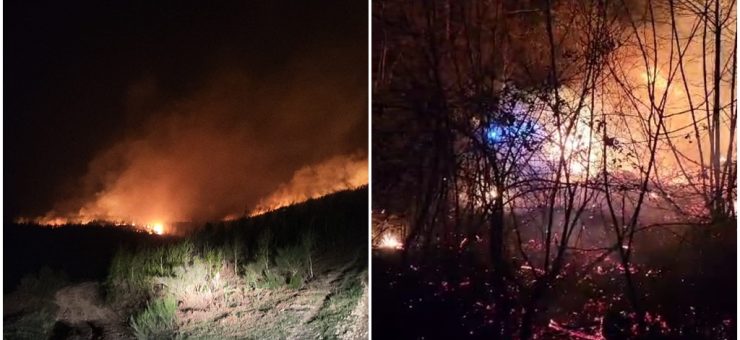 Incendiu de vegetație de amploare în Țara Oașului