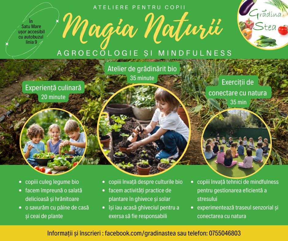 ACTIVITATE .Descoperă magia naturii