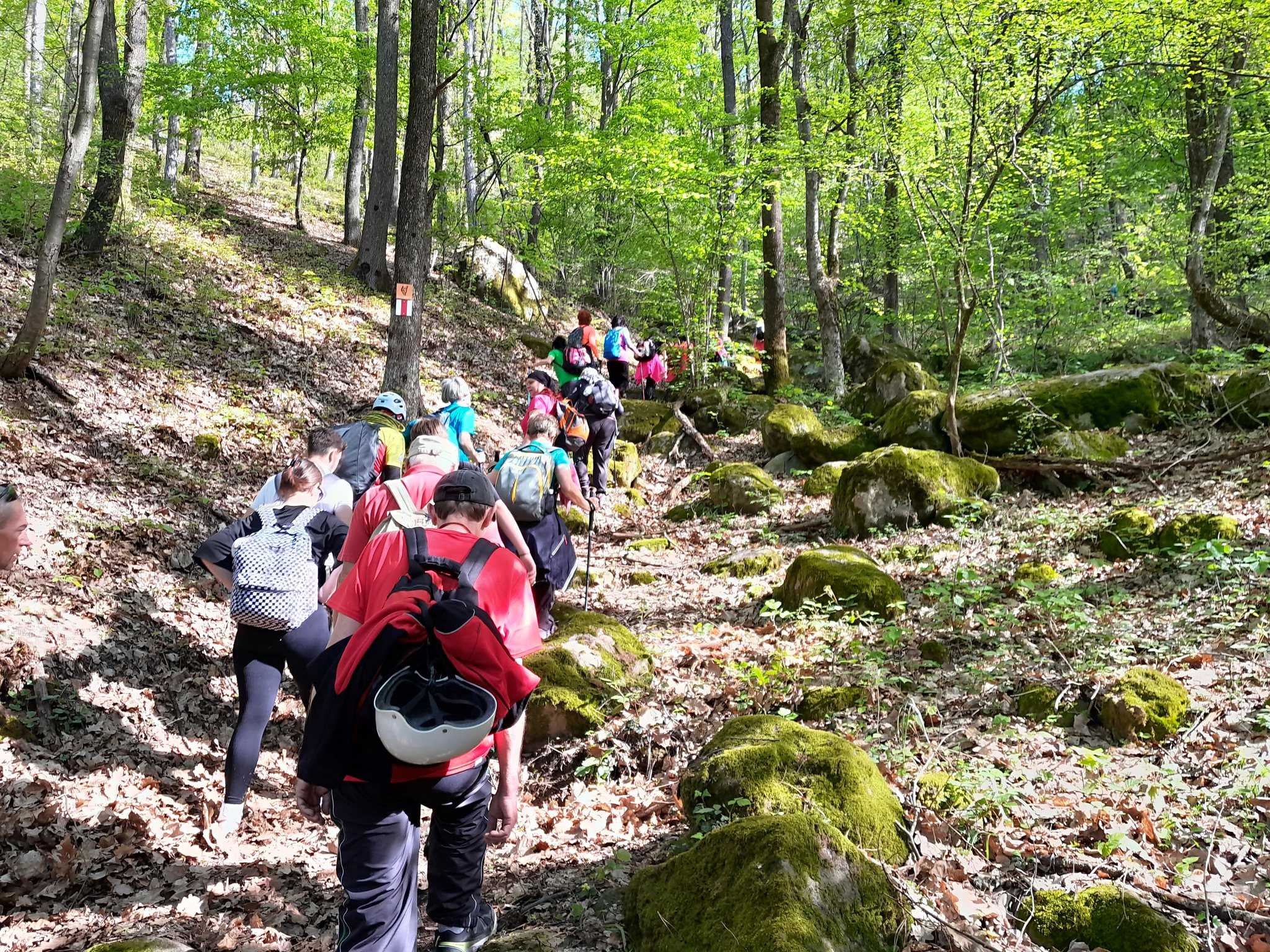 FOTOGALERIE. Un nou traseu turistic în județ: Măgura Bătarciului...pe valuri de lavă!