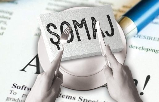 4.43% -  rata şomajului înregistrat în evidenţele AJOFM Satu Mare la sfârșitul lunii  aprilie 2024