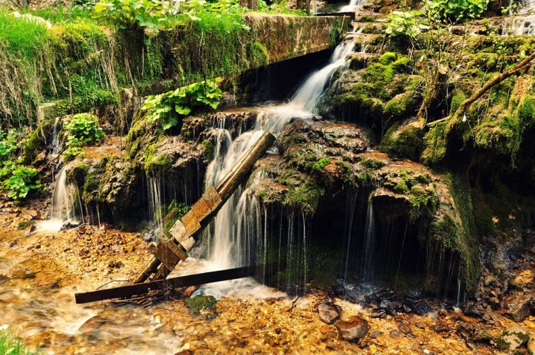 Descoperă poveștile Peșterii lui Ionele din Munții Apuseni