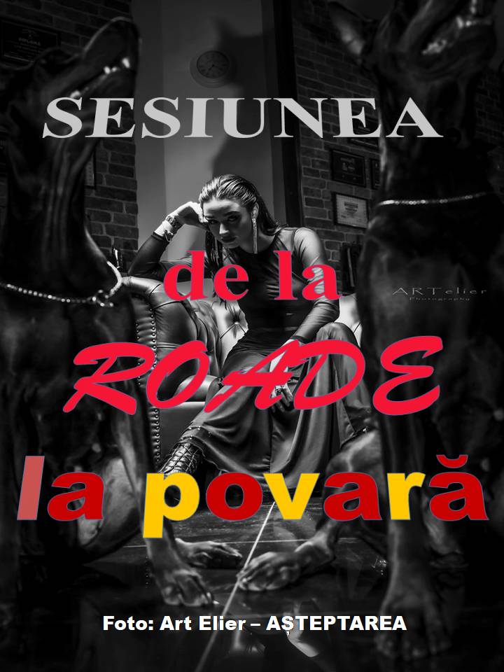 VERTICALI PENTRU ROMÂNIA: REGĂSIRI