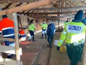 Moarta nu exista... teoretic