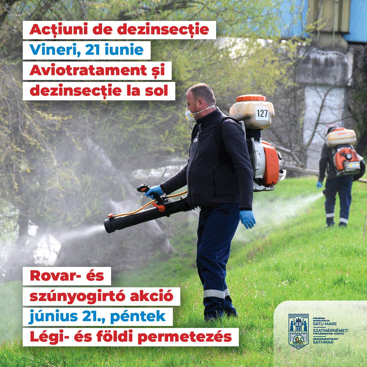 Acțiuni de dezinsecție în Satu Mare. Aviotratament și dezinsecție la sol programate pentru această lună