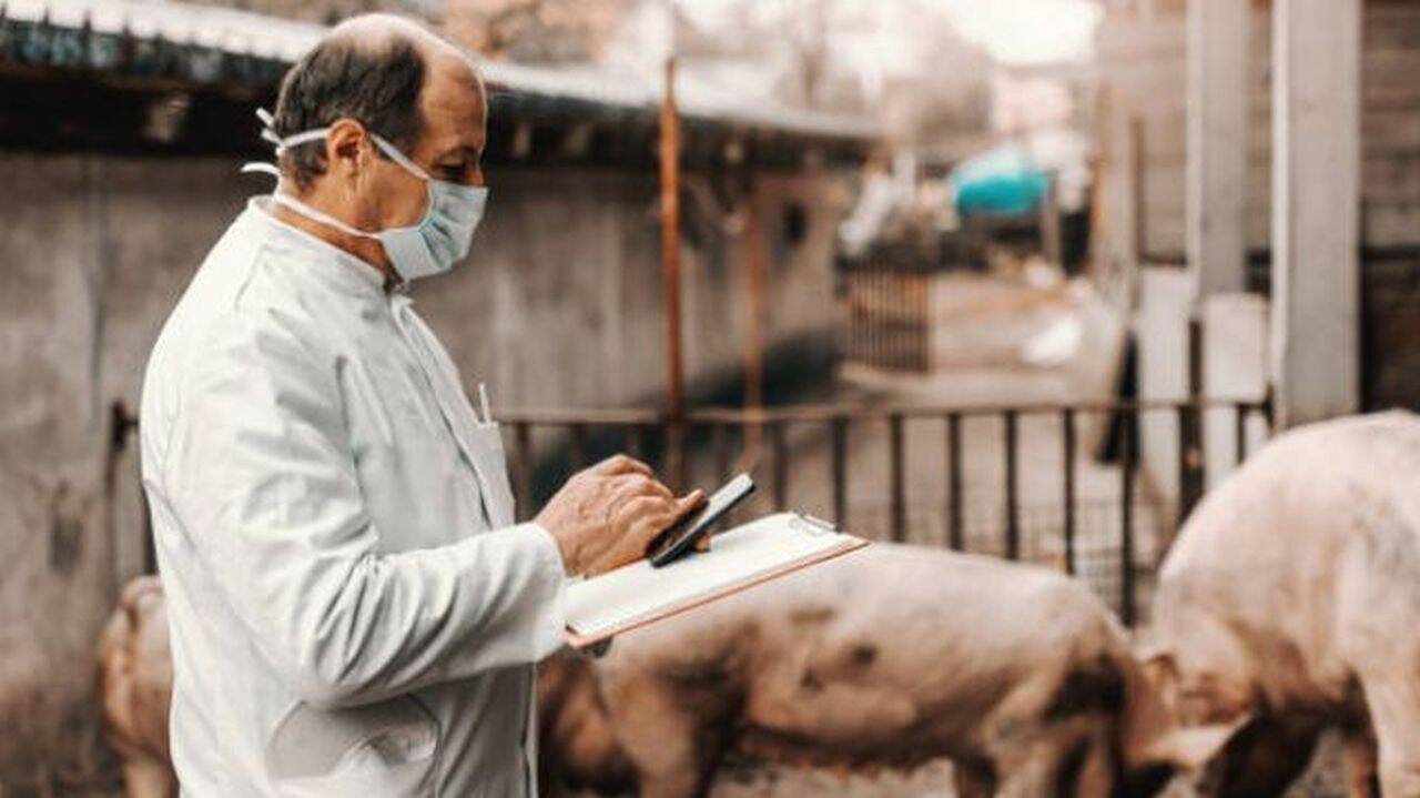 Patru fermieri, amendați de medicii veterinari din județ