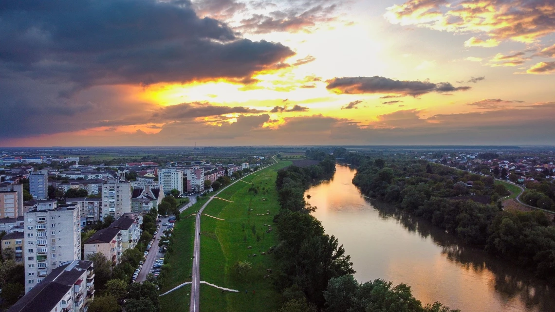 Se fac tratamente fitosanitare la arborii de pe domeniul public al municipiului Satu Mare
