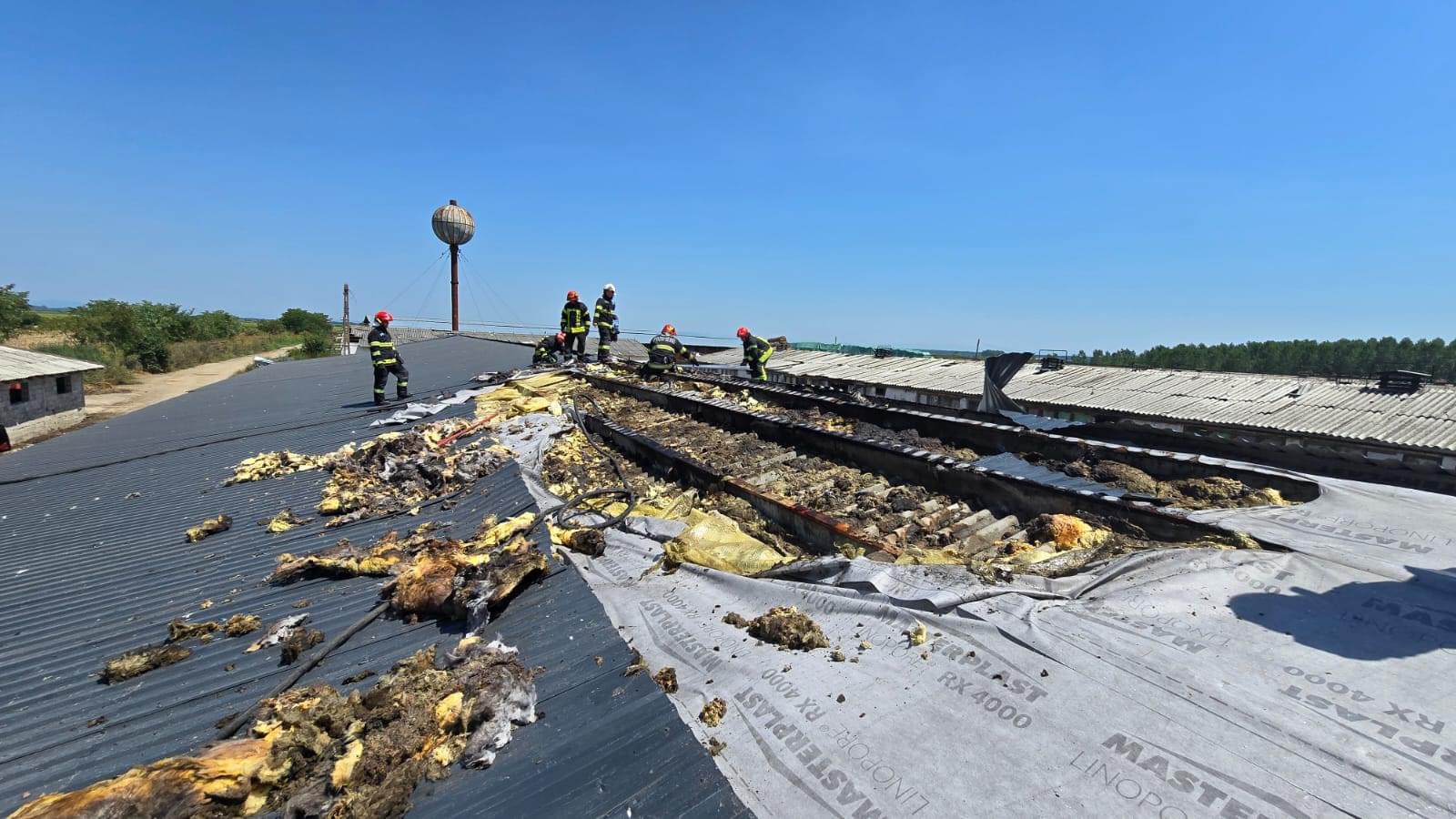 ISU Someș Satu Mare. Pompierii sătmăreni de la un incendiu la altul!