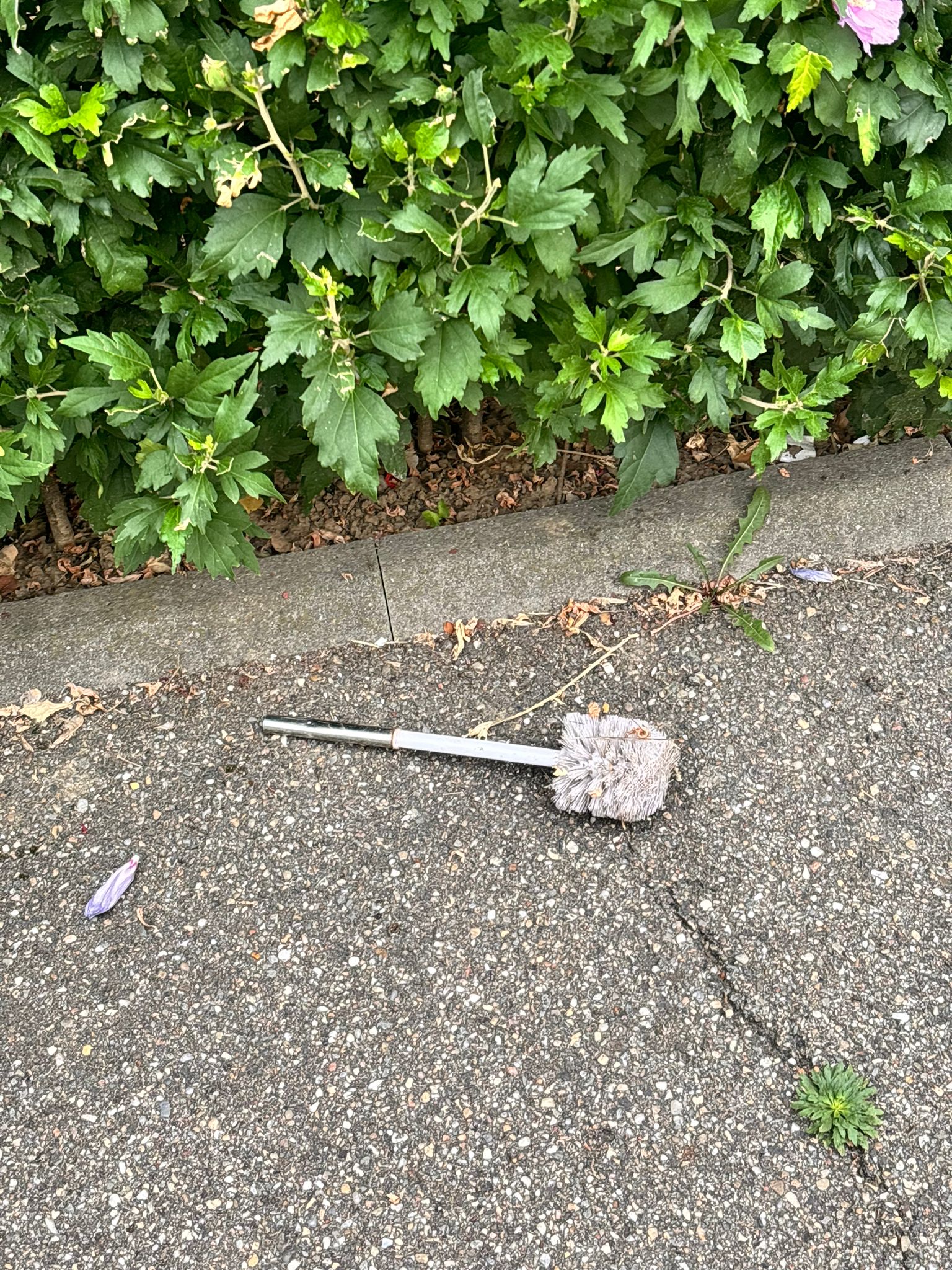 O nouă modă urbană