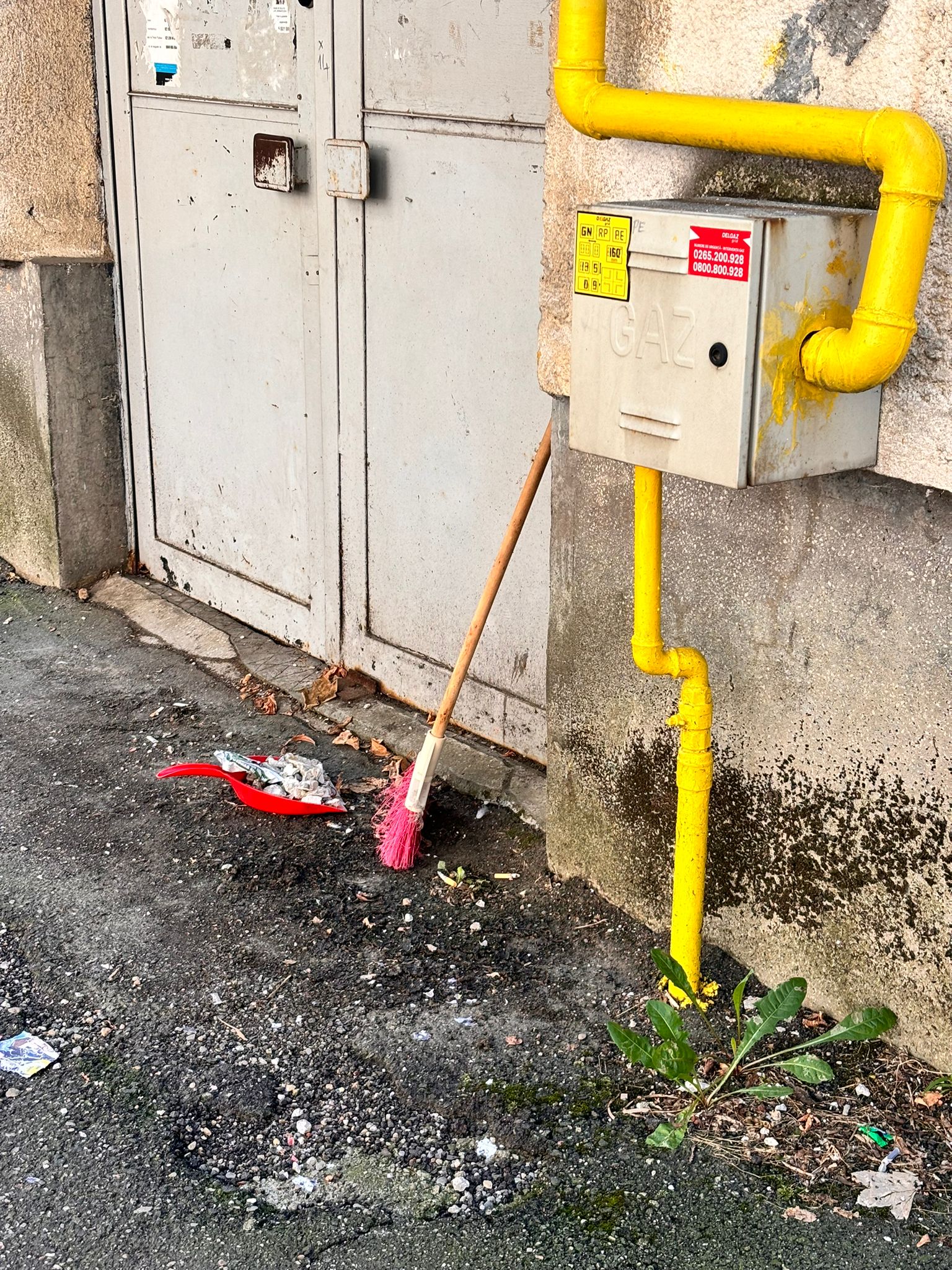 Cenușăreasa de Satu Mare