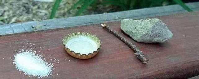 Adăugați un comentariu... Capcană pentru țânțari