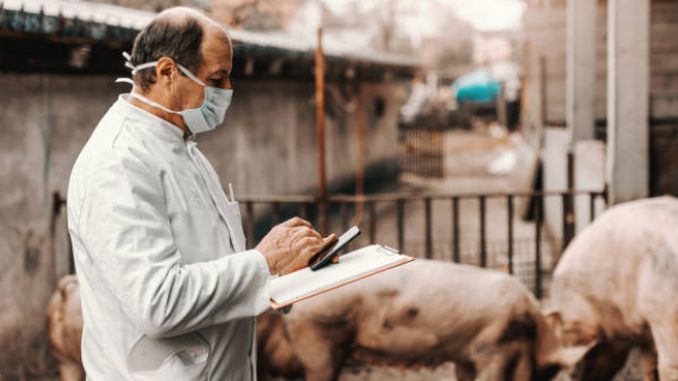 DSVSA Satu Mare: 78 de controale în exploatații și farmacii veterinare. Amenzi și avertismente aplicate