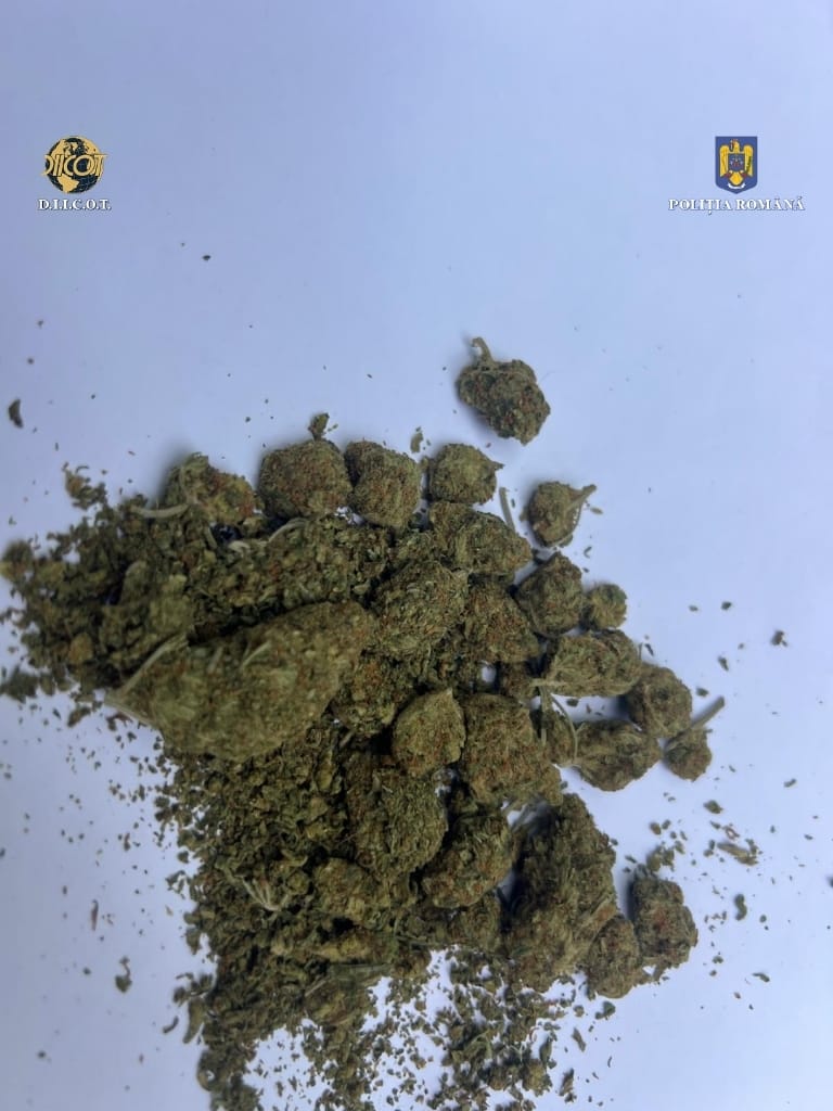 *UPDATE* Reținut pentru trafic de droguri de risc și mare risc