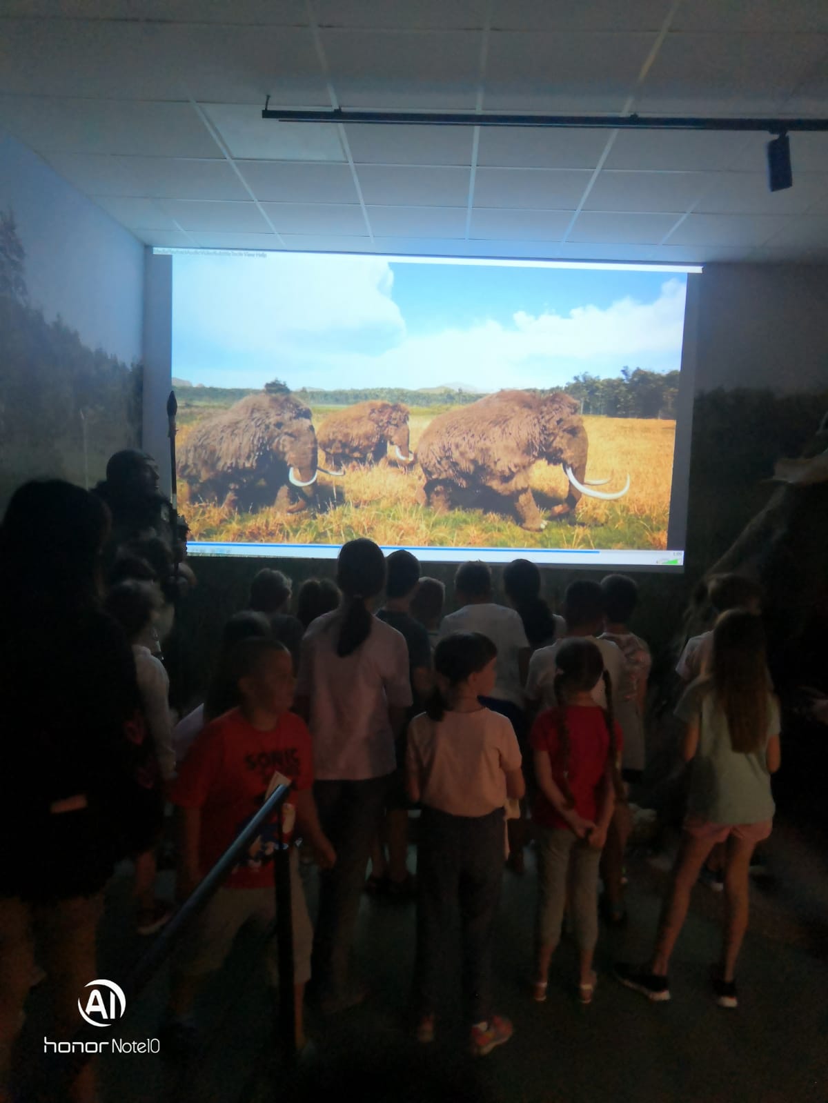 Vacanță plină de aventuri culturale la Muzeul Județean din Satu Mare