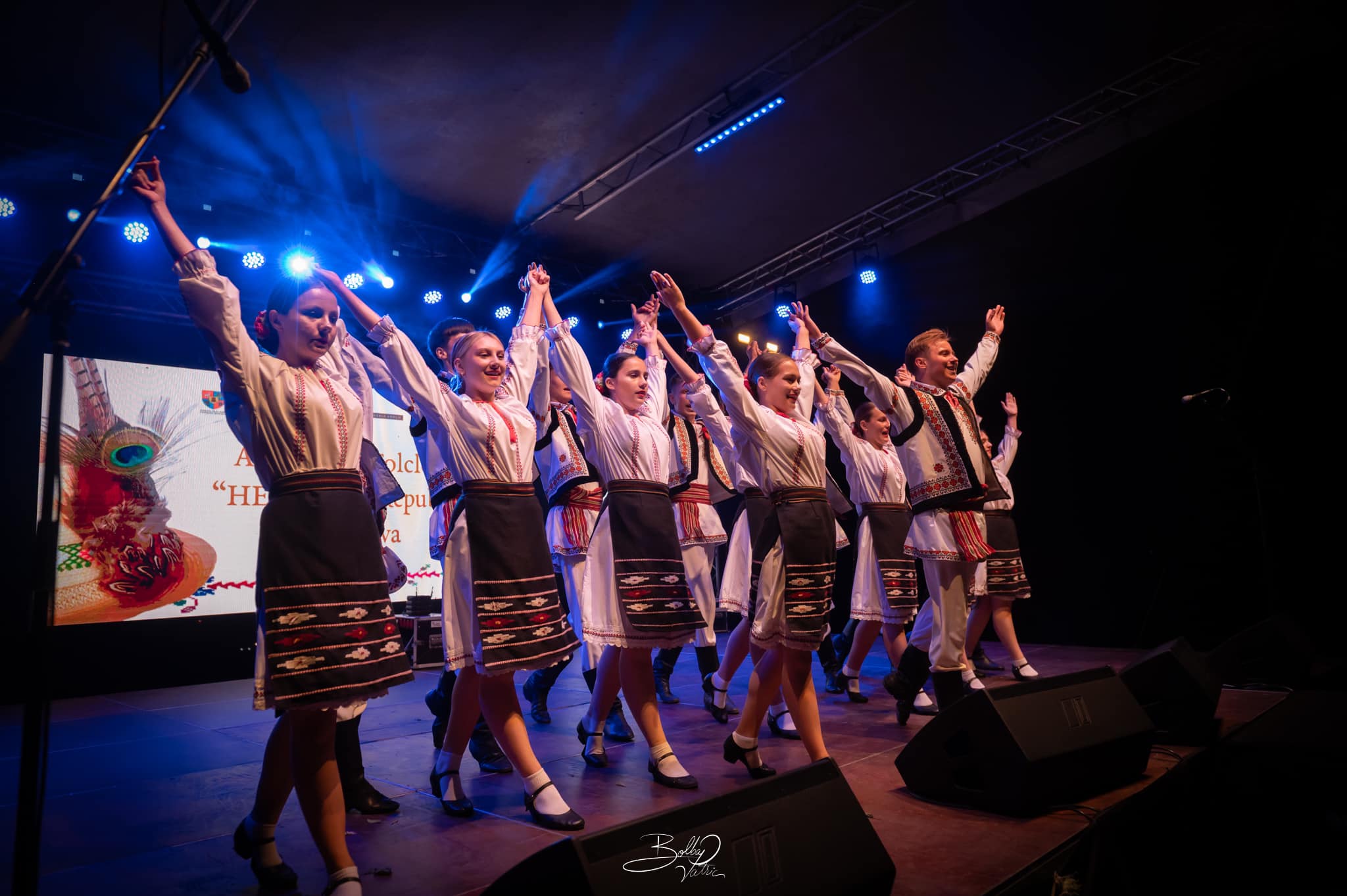 Festivalul Folcloric „Cetatea Codrului” de la Ardud, ediția a X-a