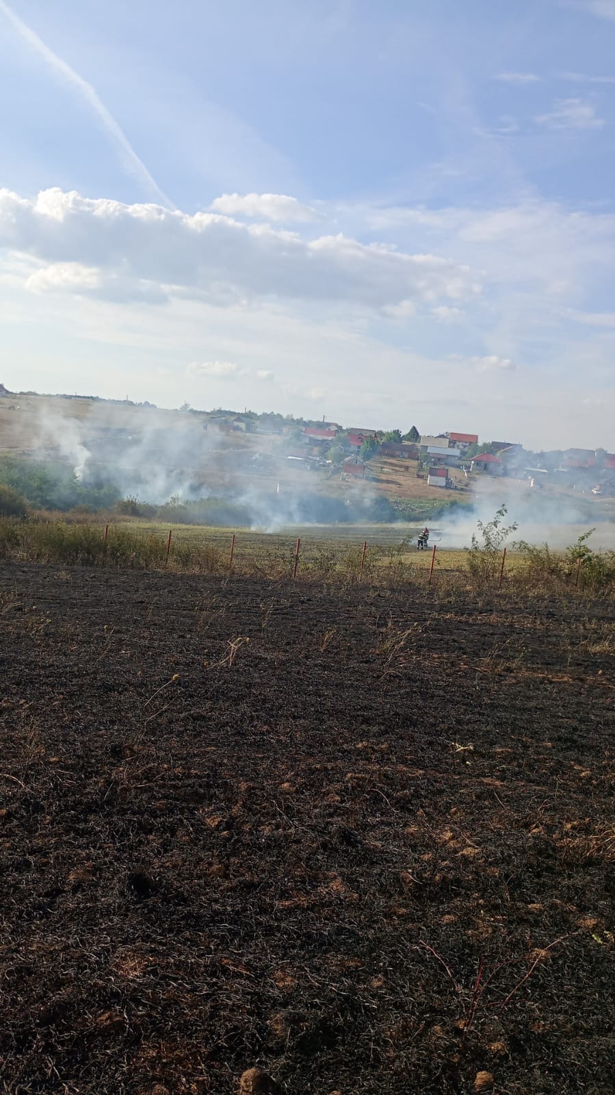 Incendiu de vegetaţie uscată în localitatea Viile Satu Mare