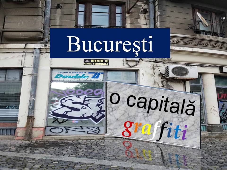 VERTICALI PENTRU ROMÂNIA: COLIVIA CU FLUTURI