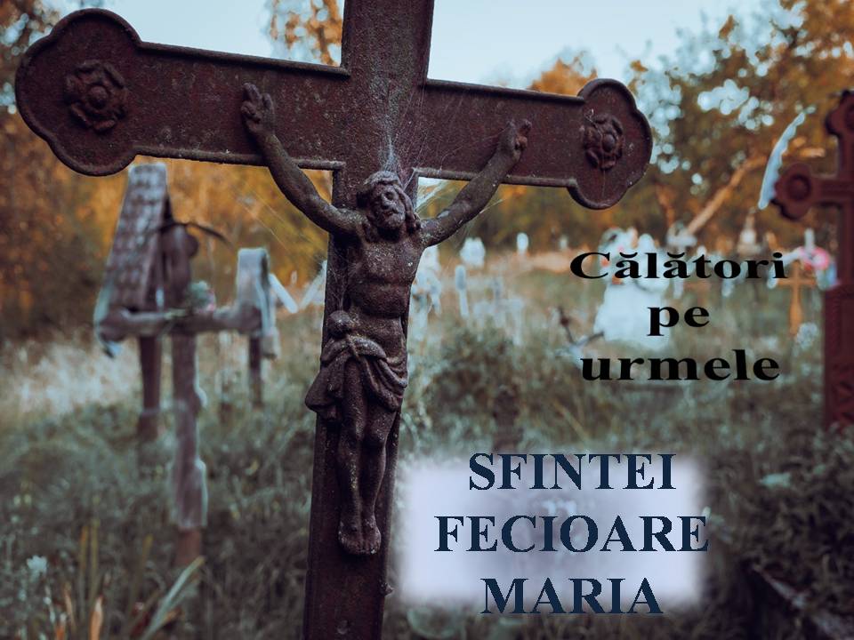 VERTICALI PENTRU ROMÂNIA GLASUL CETĂȚII CEREȘTI - PUNCTE DE VEDERE