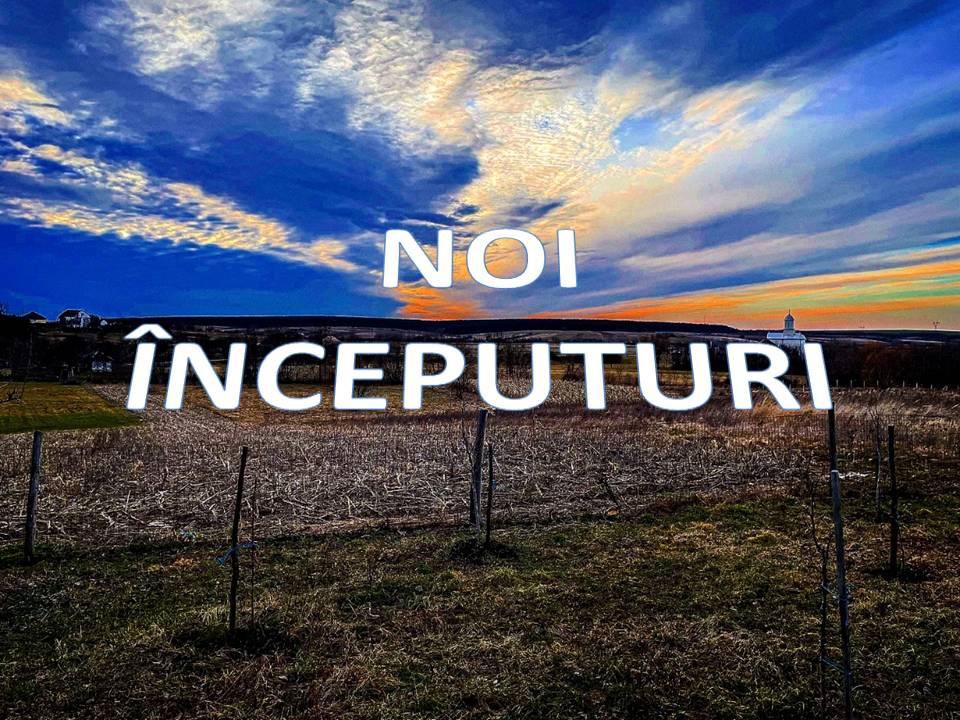 VERTICALI PENTRU ROMÂNIA: REGĂSIRI