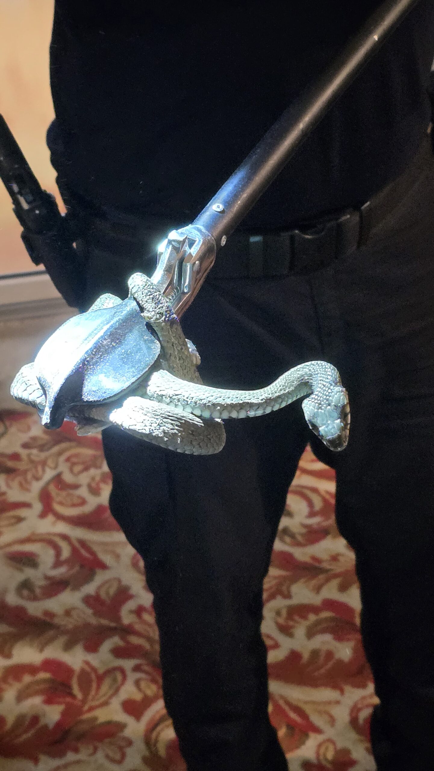 Un șarpe de aproape doi metri, găsit în bucătăria unei locuințe din Pișcolt. Jandarmii au prins reptila și au eliberat-o pe câmp.