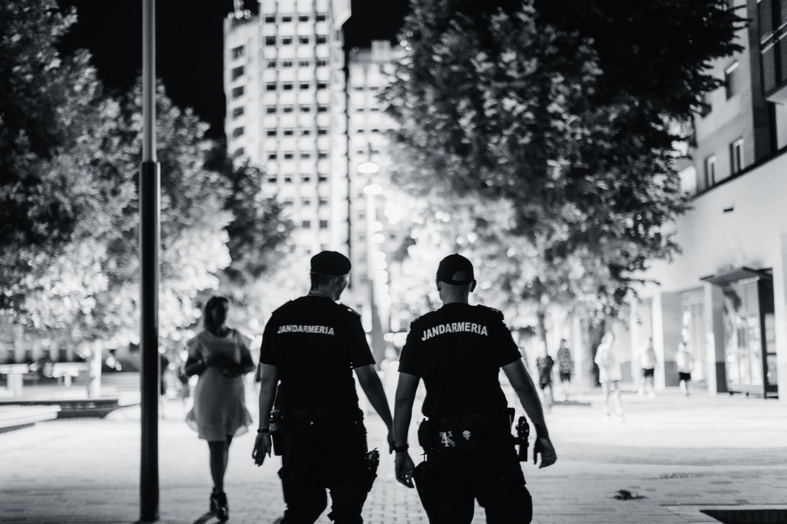 Rezultatele obținute de jandarmii sătmăreni în minivacanța prilejuită de sărbătoarea Adormirii Maicii Domnului