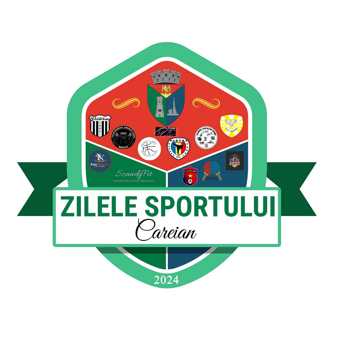 Zilele Sportului la Carei