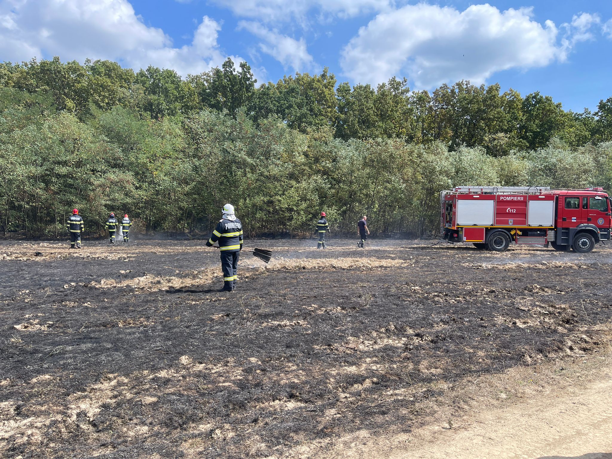 FOTO-VIDEO. Incendiu de vegetație pe o pășune din Satu Mare. 5 Hectare au fost afectate