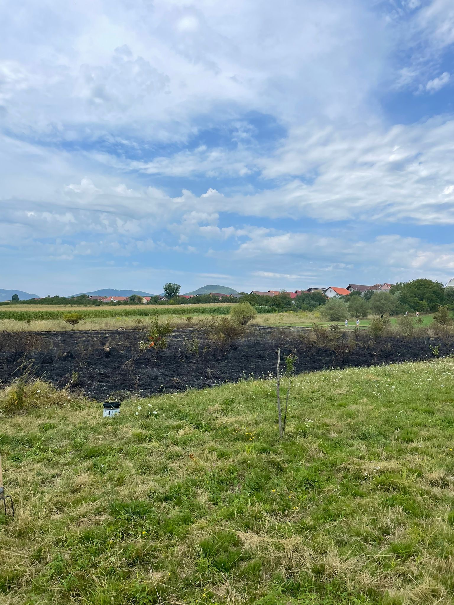 Incendiu produs la vegetația uscată în localitatea Boinești