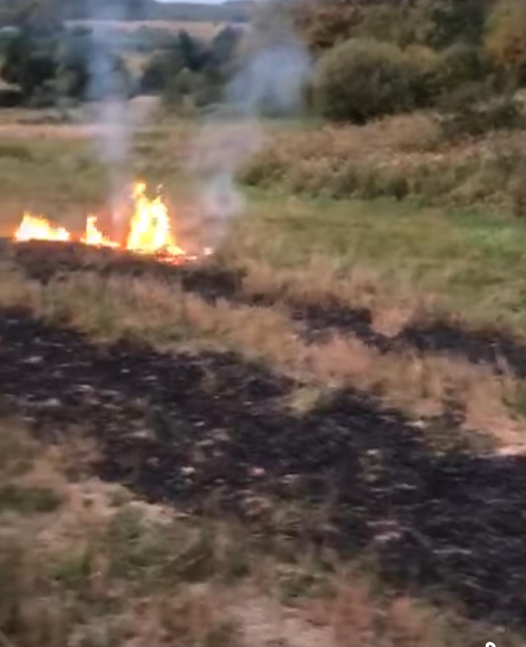 Atenție bârsăuani!