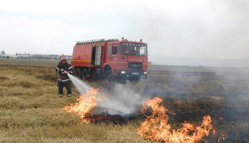 Incendiu de vegetație în localitatea Istrău