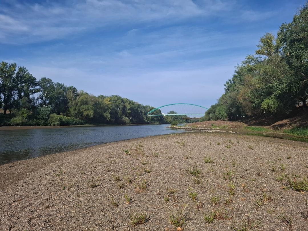 SECETĂ Trei râuri din județ au secat complet. Someșul, record minim istoric la Satu Mare