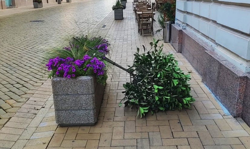 FOTO. Acte de vandalism la Satu Mare. Vandalii, căutați de poliție