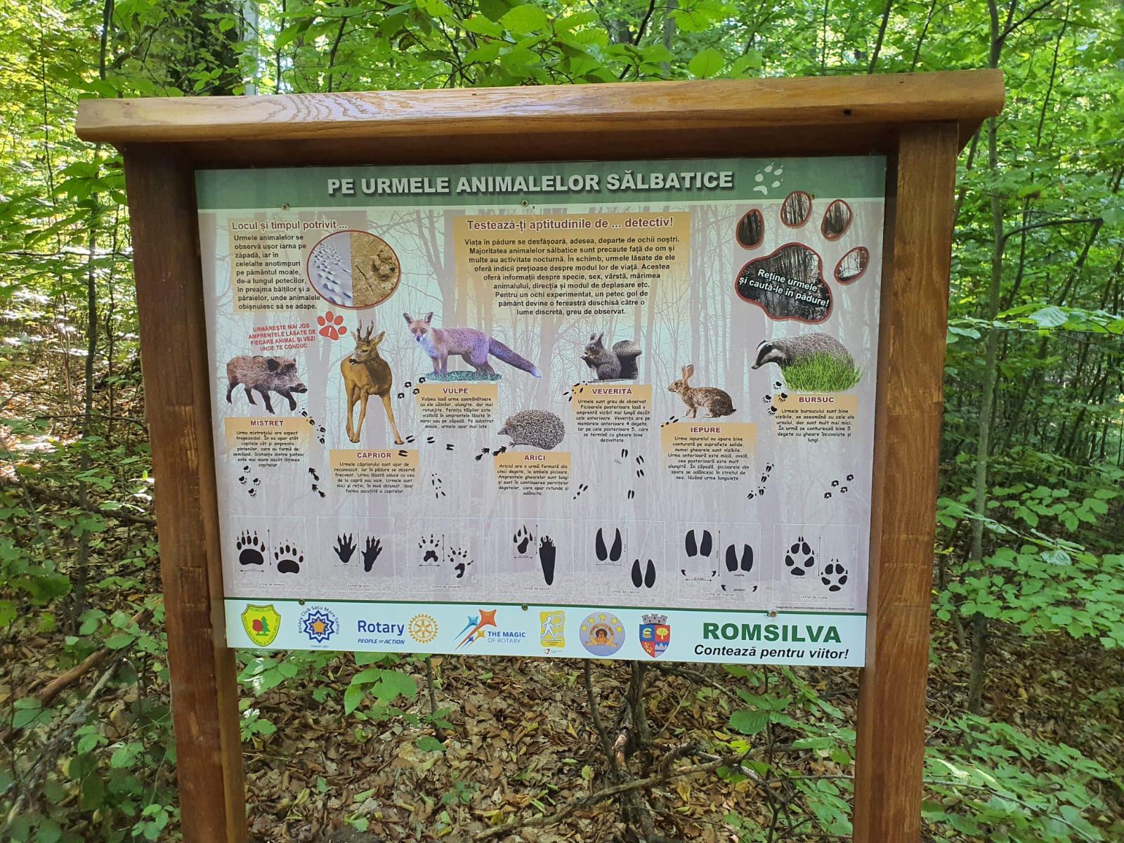 S-a inaugurat un nou traseu tematic la Luna Ses, pe raza Ocolului Silvic Negresti Oas.