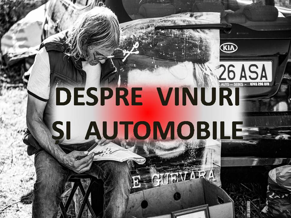 VERTICALI PENTRU ROMÂNIA: CONVULSII TĂCUTE