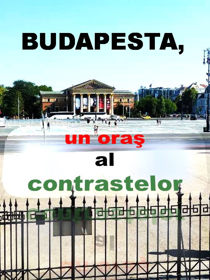 VERTICALI PENTRU ROMÂNIA: COLIVIA CU FLUTURI