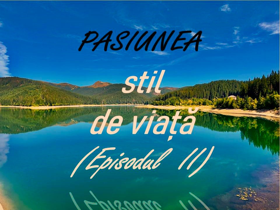 VERTICALI PENTRU ROMÂNIA: REGĂSIRI