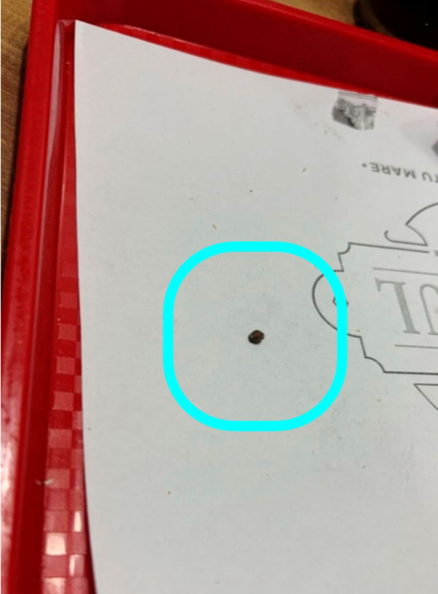 Lecție de geologie, la o shaormerie din Satu Mare!