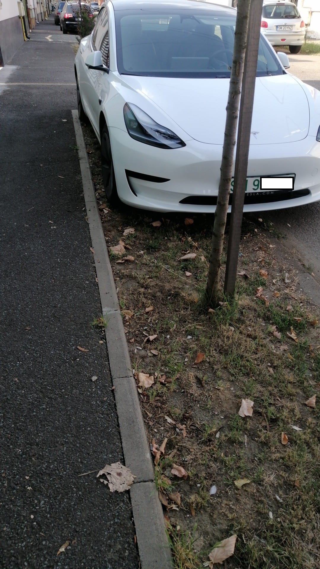 Această Tesla nu este foarte ecologică